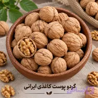 گردو‌ پوست کاغذی ایرانی تک‌درخت یک کیلویی
