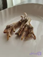 پای مرغ