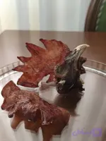 سر و کاکل مرغ