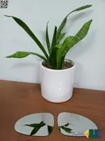 شیشه آینه چپ آریزو ۵