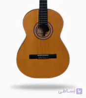 گیتار پارسی m2