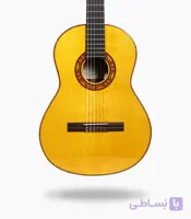 گیتار رامین فلاح red bresilian rose wood