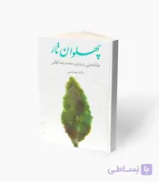 کتاب پهلوان تار مقاله‌های درباره محمدرضا لطفی