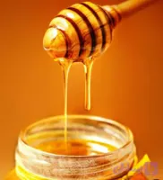 عسل گزنگبین نازگل