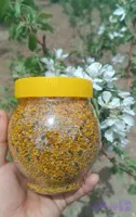 گرده گل نازگل
