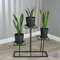 استند گل