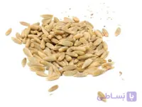 چاودار