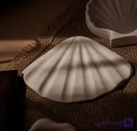 استند صدف بادبزنی