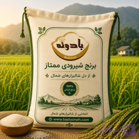 برنج شیرودی ممتاز