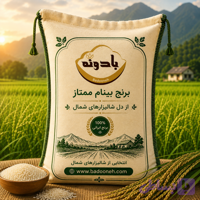 برنج بینام ایرانی بادونه