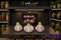 نمکدان سیر سرامیکی تک کارتون