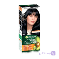 رنگ مو گارنیر Color Naturals 1.10 مشکی سرد | Garnier Color Naturals 1.10 Cold Black