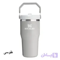 تراول ماگ نی‌دار استنلی مدل IceFlow حجم ۸۹۰ میلی‌لیتر