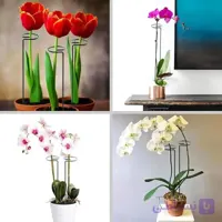 پایه نگهدارنده گل 6 عددی