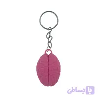 جاکلیدی مدل مغز (کد BI3ES)