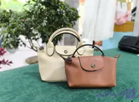 کیف زنانه مستر وارداتی Longchamp