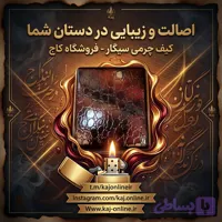 کیف مخصوص سیگار(جاسیگاری)