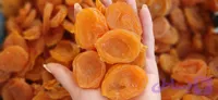 زردآلو قیسی دهقان بسته ۱ کیلویی