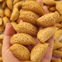 بادام کاغذی شمشیری آذربایجان بسته ۱ کیلویی