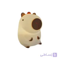 چراغ خواب کودک مدل کاپی بارا