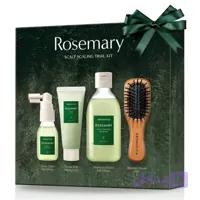 ست مسافرتی مراقبت از مو رزماری آروماتیکا اسکالپ و ضد ریزش | AROMATICA Rosemary Scalp Scaling Trial Kit