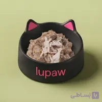غذای تازه خانگی گربه: مرغ و برنج اقتصادی (بالغ و سالمند )