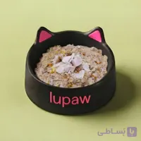 غذای تازه خانگی گربه : بوقلمون و کدو حلوایی (گوارش حساس)