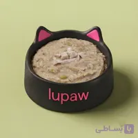غذای تازه خانگی سگ : بوقلمون کم چرب (کنترل وزن)