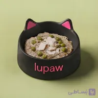 غذای تازه خانگی سگ : مرغ و برنج اقتصادی
