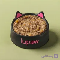 غذای تازه خانگی گربه : گوشت گاو و سبزیجات