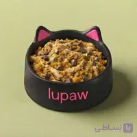 غذای تازه خانگی گربه : مرغ و کدوسبز (بدون غلات)