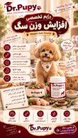 رژیم تخصصی افزایش وزن سگ