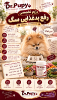 رژیم تخصصی سگ مختص سگ بدغذا