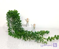 آویز شمشاد