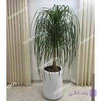گلدان لیندا L20
