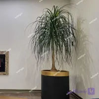 گلدان دکوراتیو لیندا 30 ساله L16