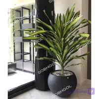 گلدان سوپر لوکس بلالی تایلندی BT01
