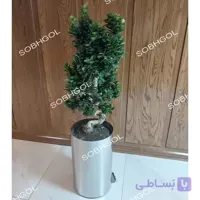 بونسای طرح S مدل BS31