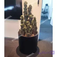 گلدان دکوراتیو کاکتوس صخره ای CS01