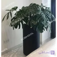 گلدان لوکس مونسترا SB08