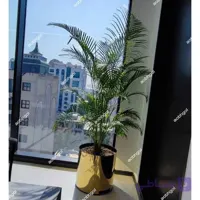 گلدان لوکس اریکا E17
