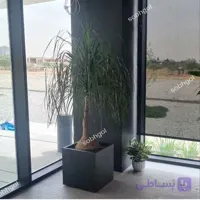 گلدان دکوراتیو لیندا L21