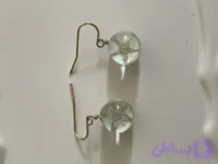 گوشواره آویز گرد رزینی با گل خشک ER-006