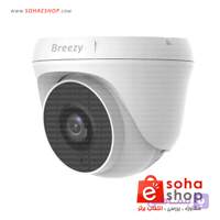 دوربین مداربسته بریزی مدل BRZ-D210P ا BRZ-D210P