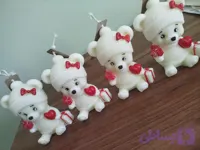 شمع خرس عاشق