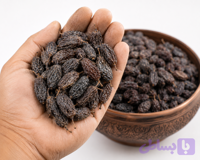 مویز فخری ملکان