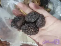 الو ملس ارگانیک درشت گوشتی نرم و تازه یک کیلویی