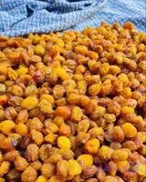 آلو بخارا امسالی