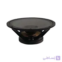 بلندگو فول رنج 15 اینچ وی سوند مدل FD1555