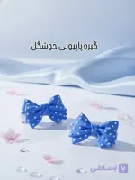 کلیپس مو طرح پاپیونی